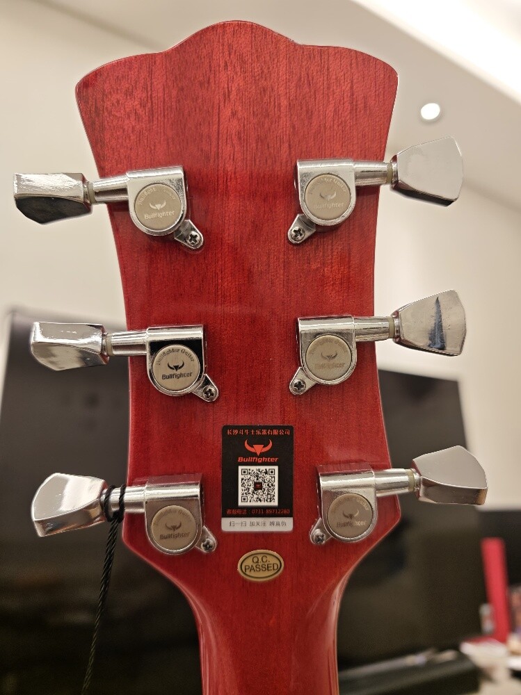 LP Style Electric Guitar - 5