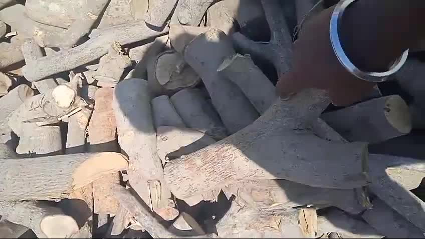 حطب العبل و زيتوون وقرض للتخييم - 10