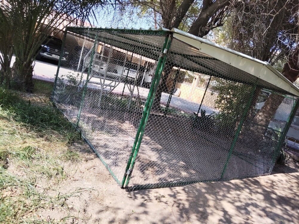 cage - 3