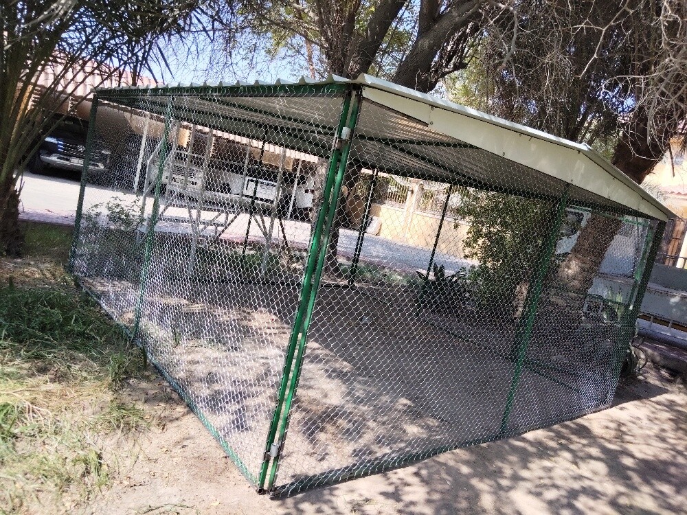 cage - 2