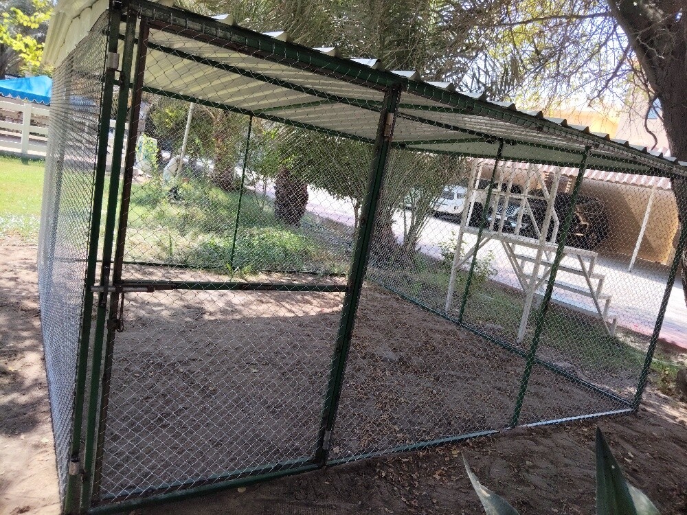 cage - 1