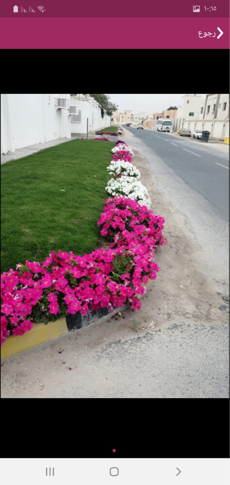 مزراع وتنسيق حدائق  - 11