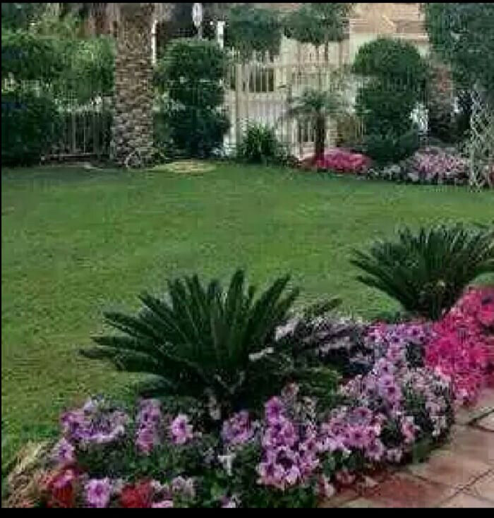 مزراع وتنسيق حدائق  - 25