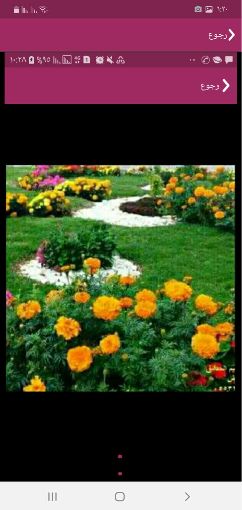 مزراع وتنسيق حدائق  - 15