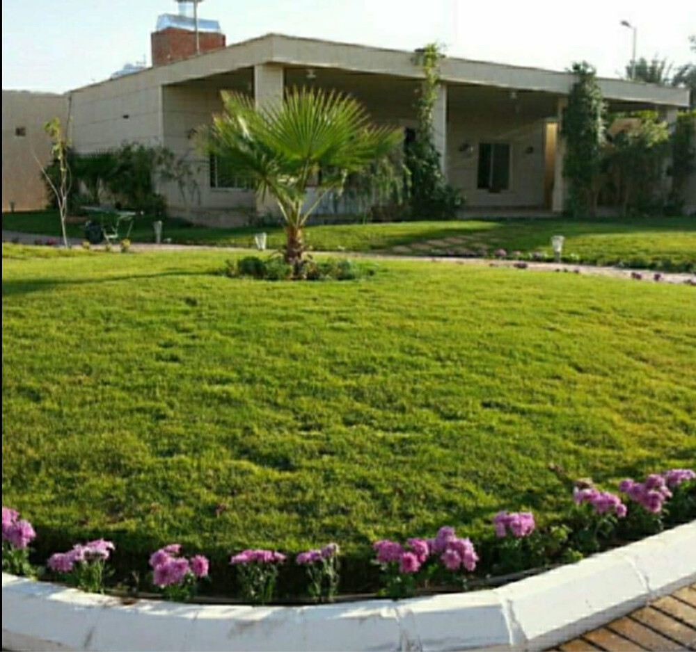 مزراع وتنسيق حدائق  - 1