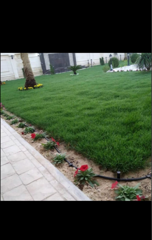 مزراع وتنسيق حدائق  - 2