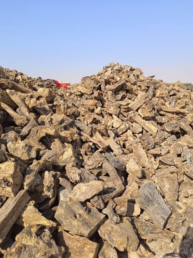 حطب زيتون اسباني - 2