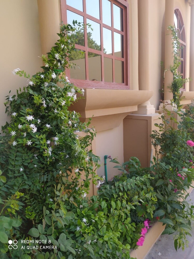 مهندس زراعي - 3
