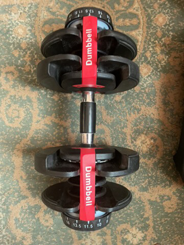  2 dumbbell 24kg - 2