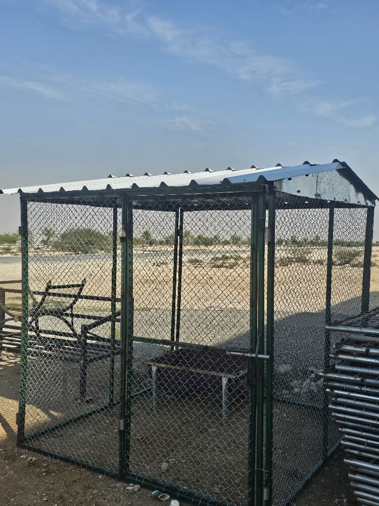 2*2 Gopac. Chicken. Hammam - 4