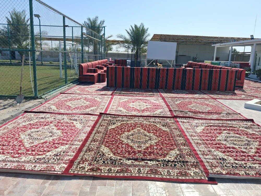 نور الشمس حواجز وممرات ذهبي - 14