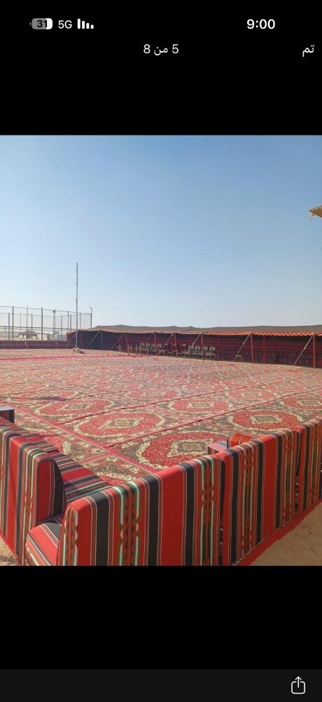 نور الشمس قوس ورد أبيض مع ممر - 4