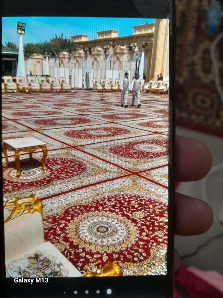 نور الشمس قوس ورد أبيض مع ممر - 9