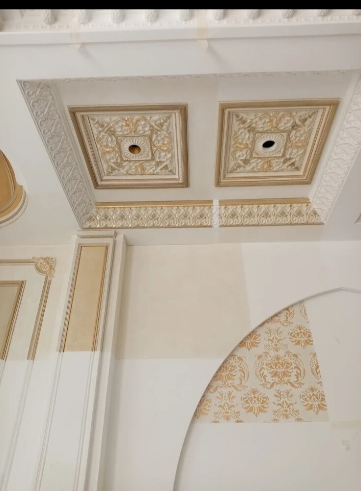 Painting and Gypsum work - 3