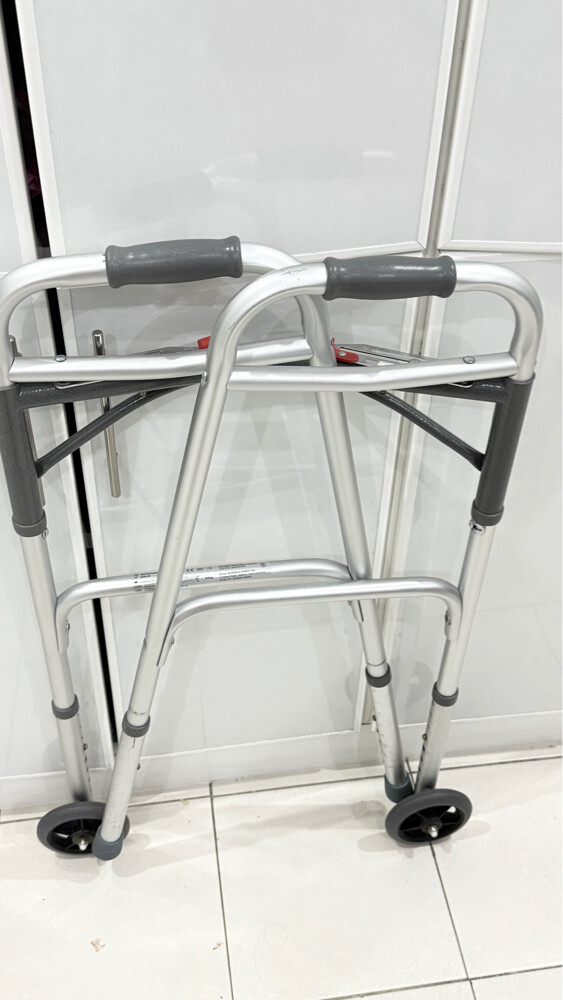 walking assist - 3
