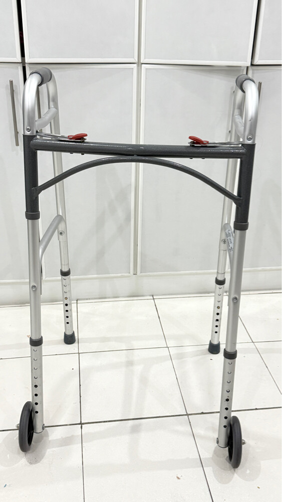 walking assist - 1