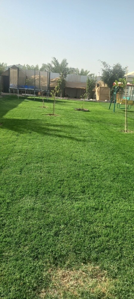 زراعةالعشب الطبيعي وشبكات الري - 10