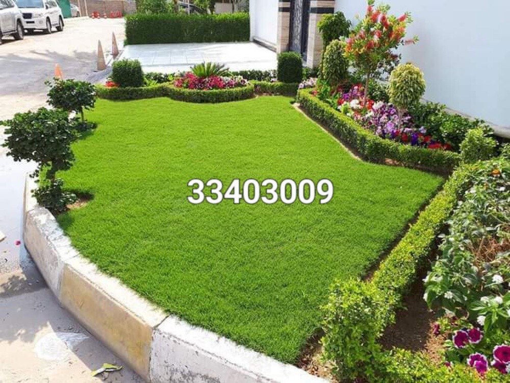 زراعةالعشب الطبيعي وشبكات الري - 3