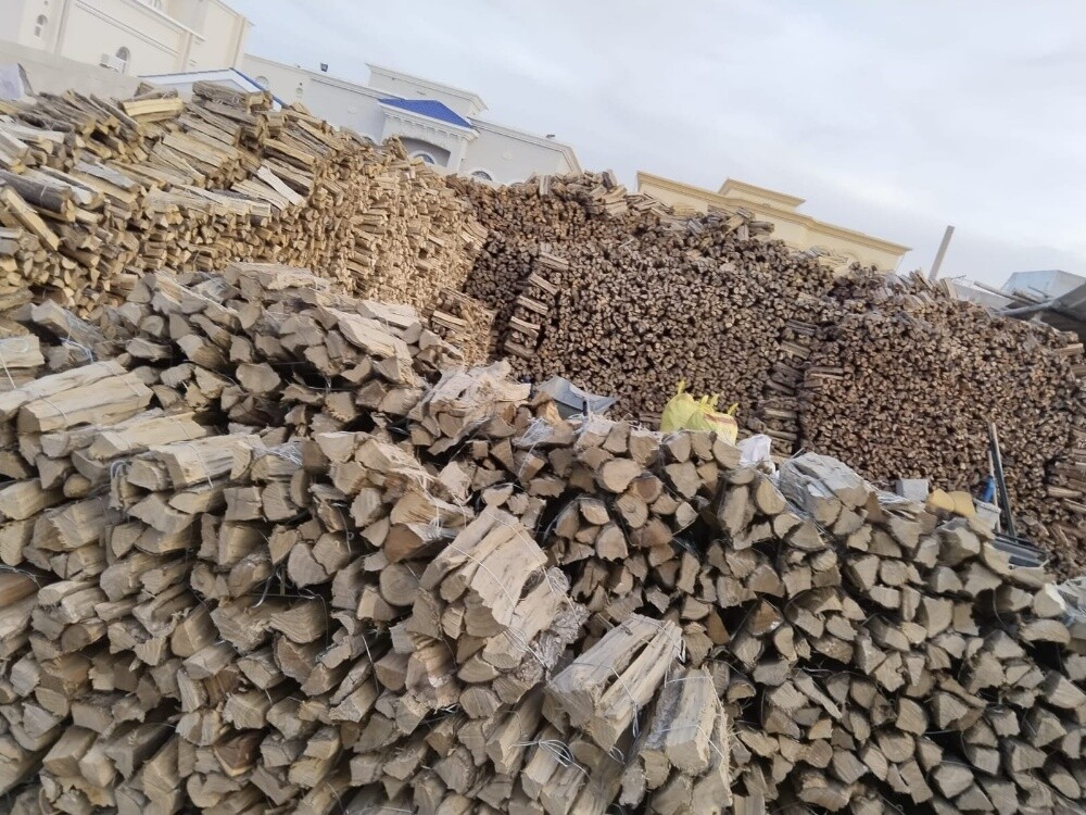 #عبل- #أرطي-#سمر-#موعمر - 3