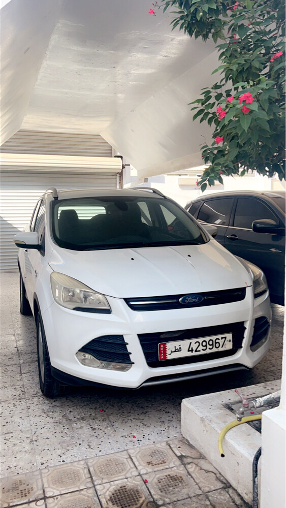 فورد سكيب - 7