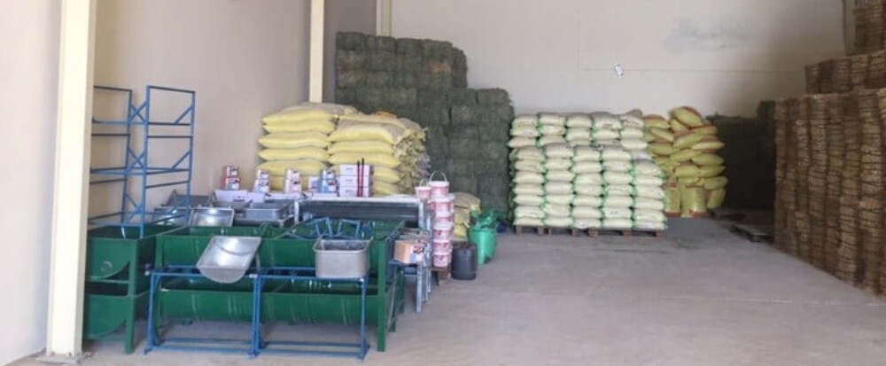 animal feed - 2