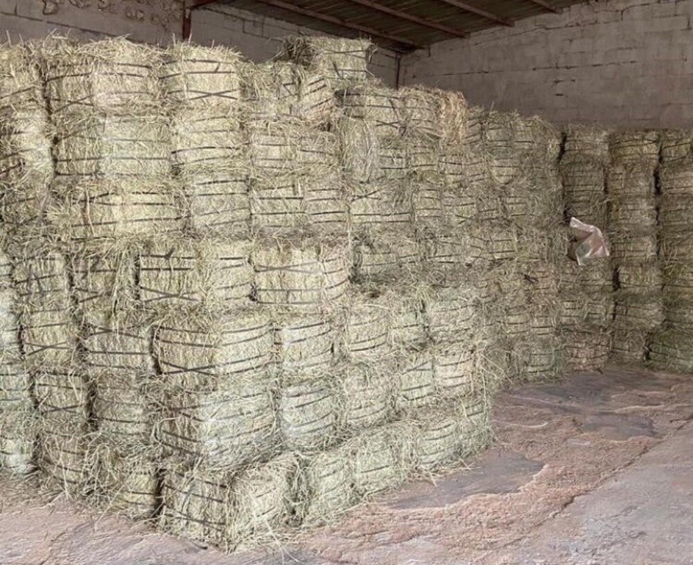 animal feed - 5