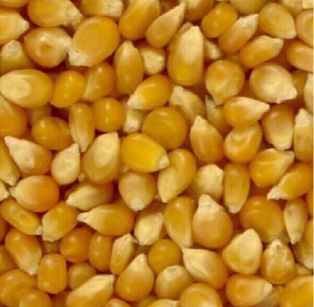 animal feed - 6
