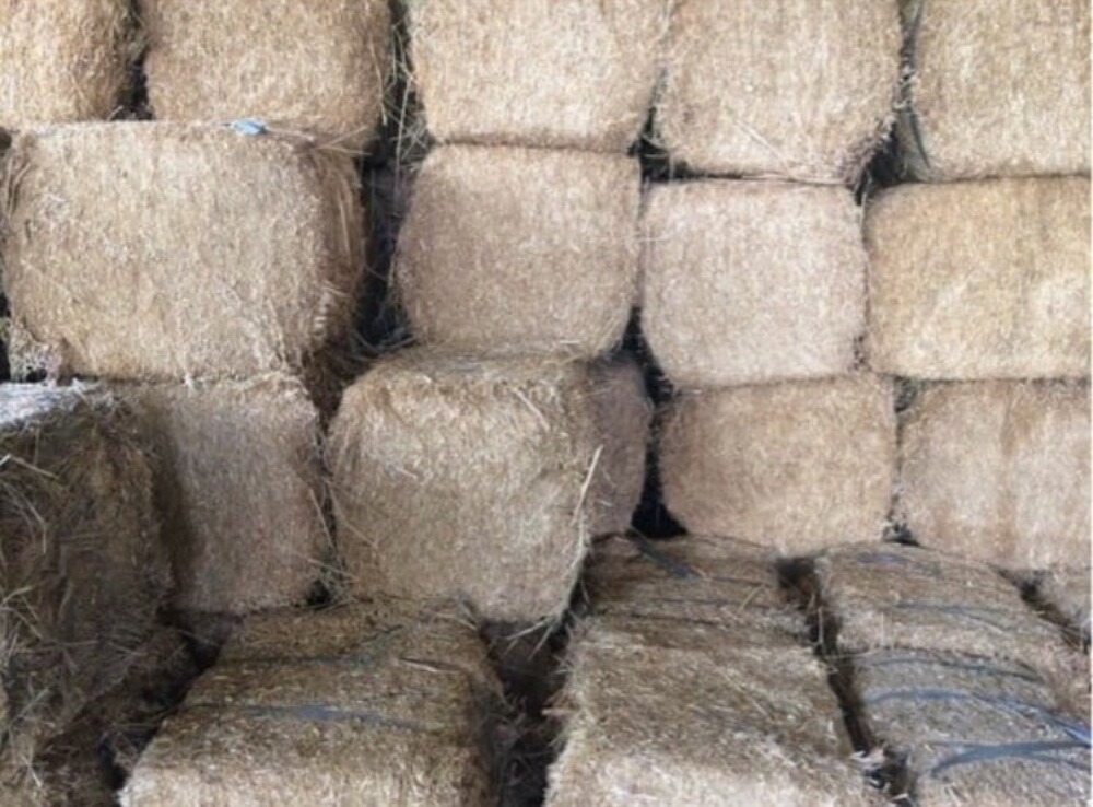 animal feed - 10