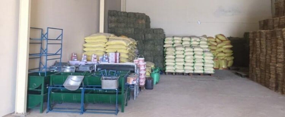 animal feed - 13