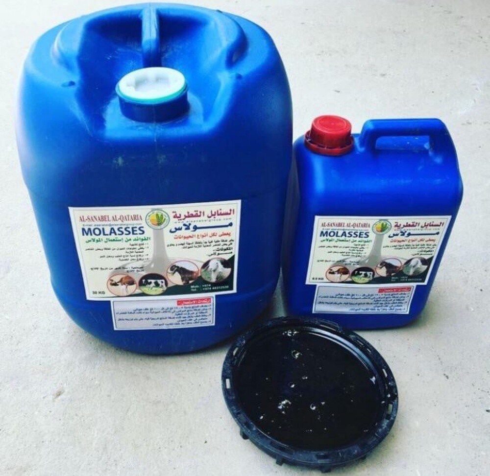 animal feed - 4