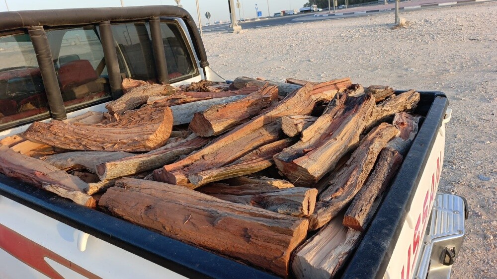 حطب سدر - 2
