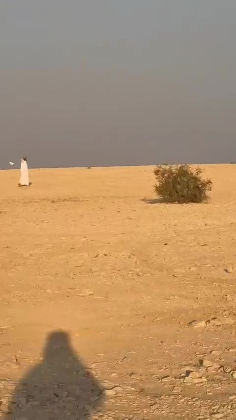 حر  - 4