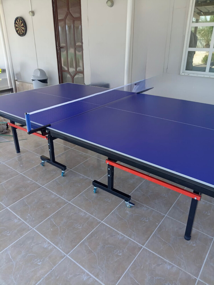 Table tennis - 1