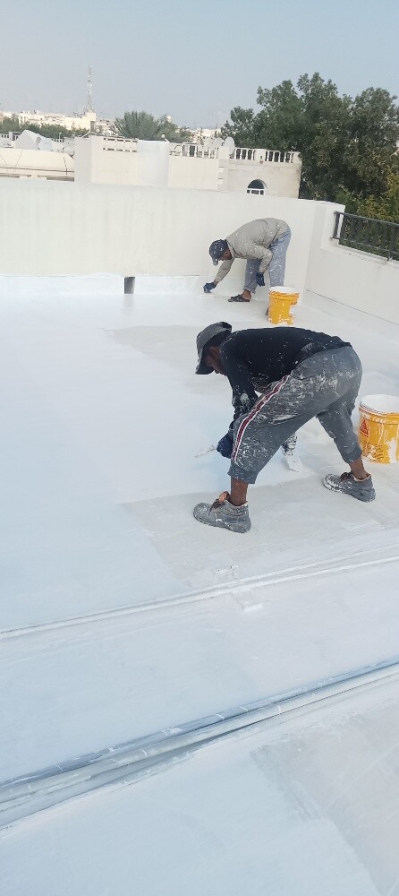 Epoxy paints and interior and ext - 4
