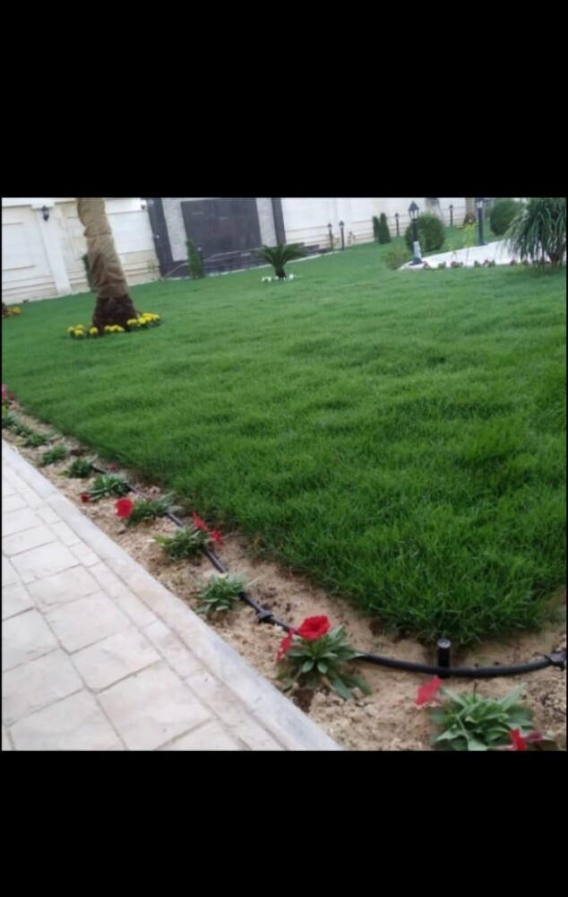 مزراع وتنسيق الحدائق - 3