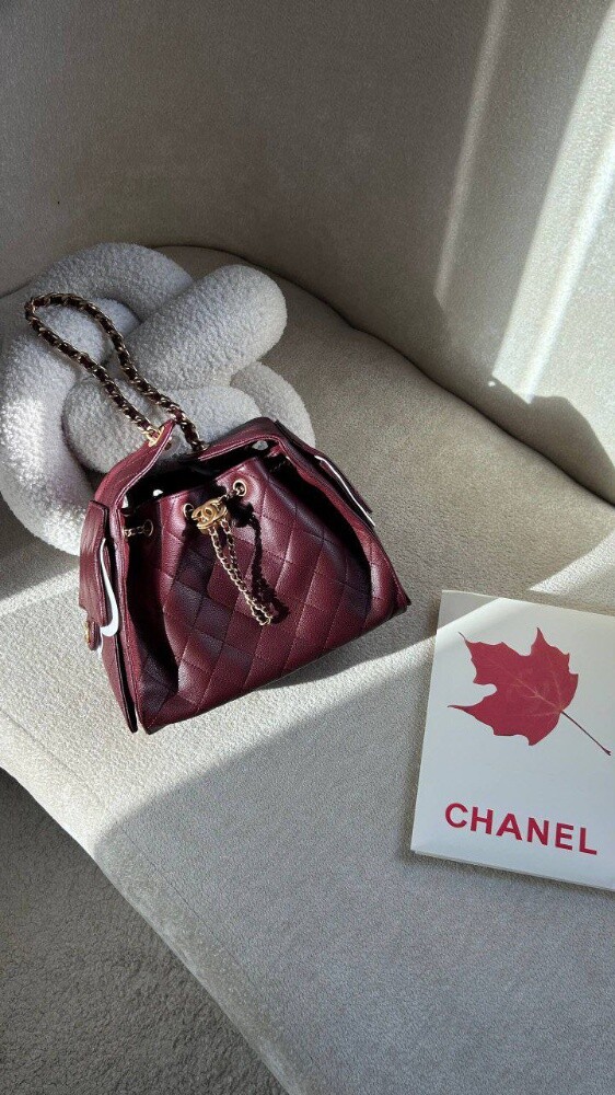 Coco 25 Small Handbag Burgundy
28 - 1