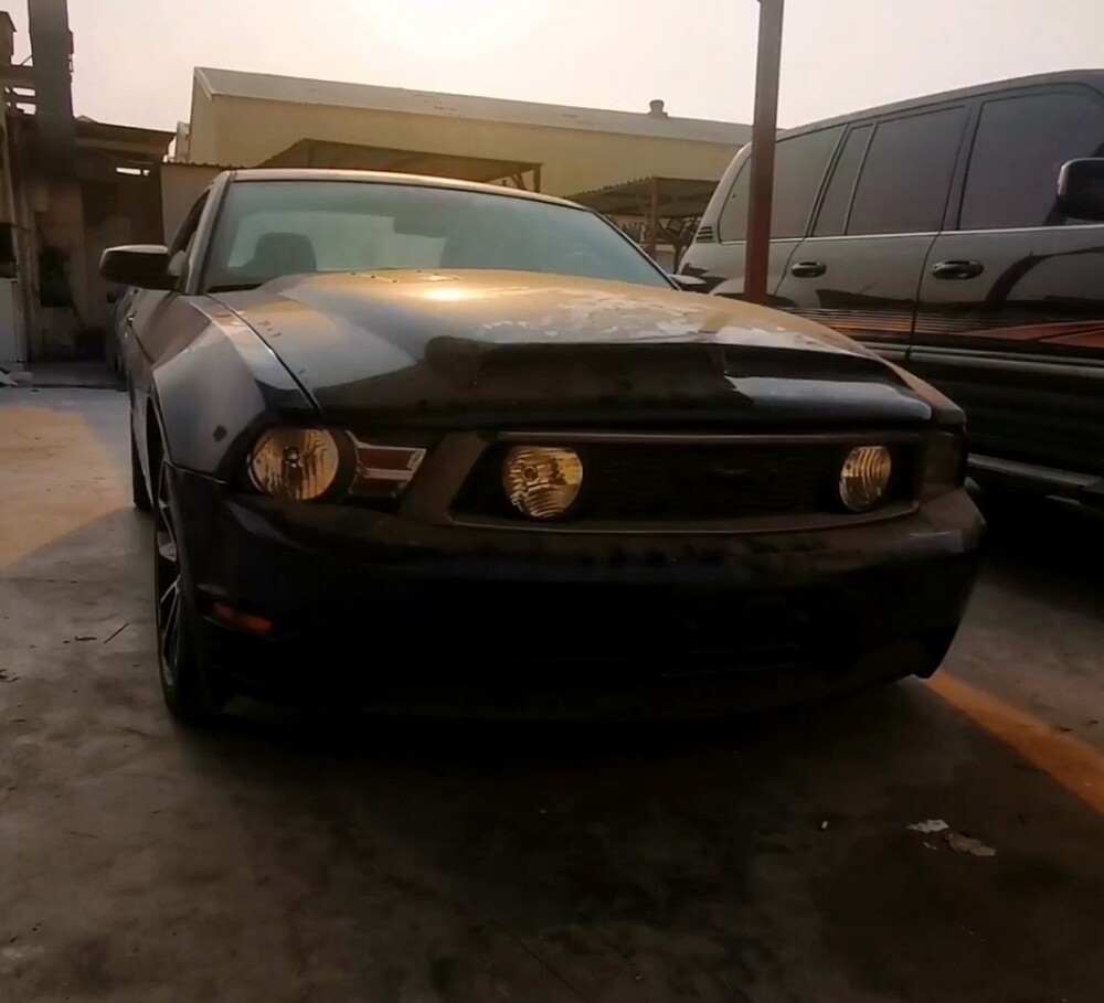 MUSTANG - 1