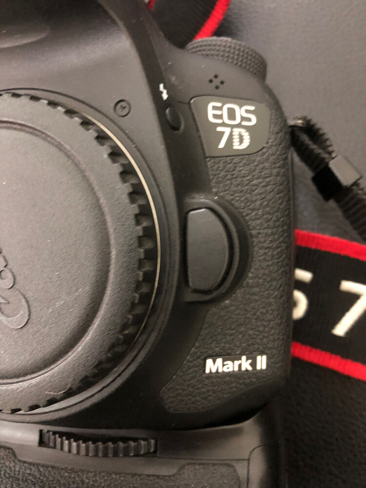 canon 7D ii - 3