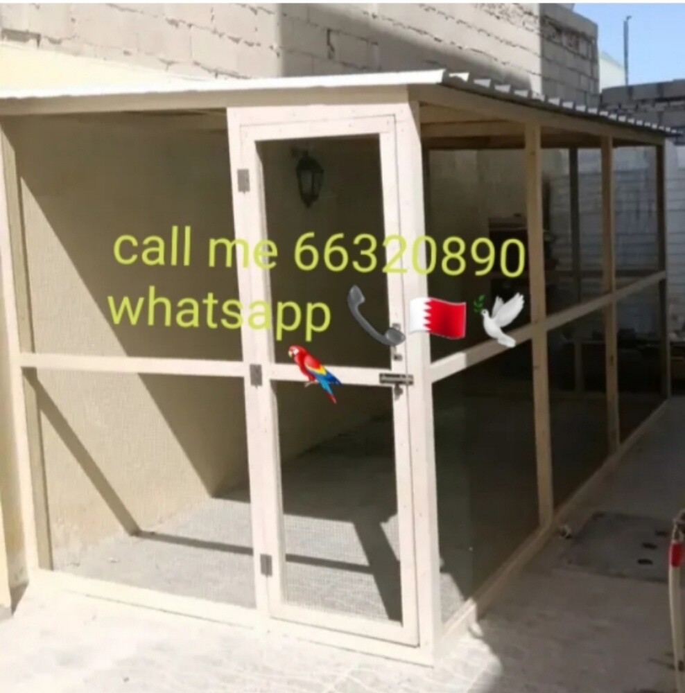 whatsapp - 5