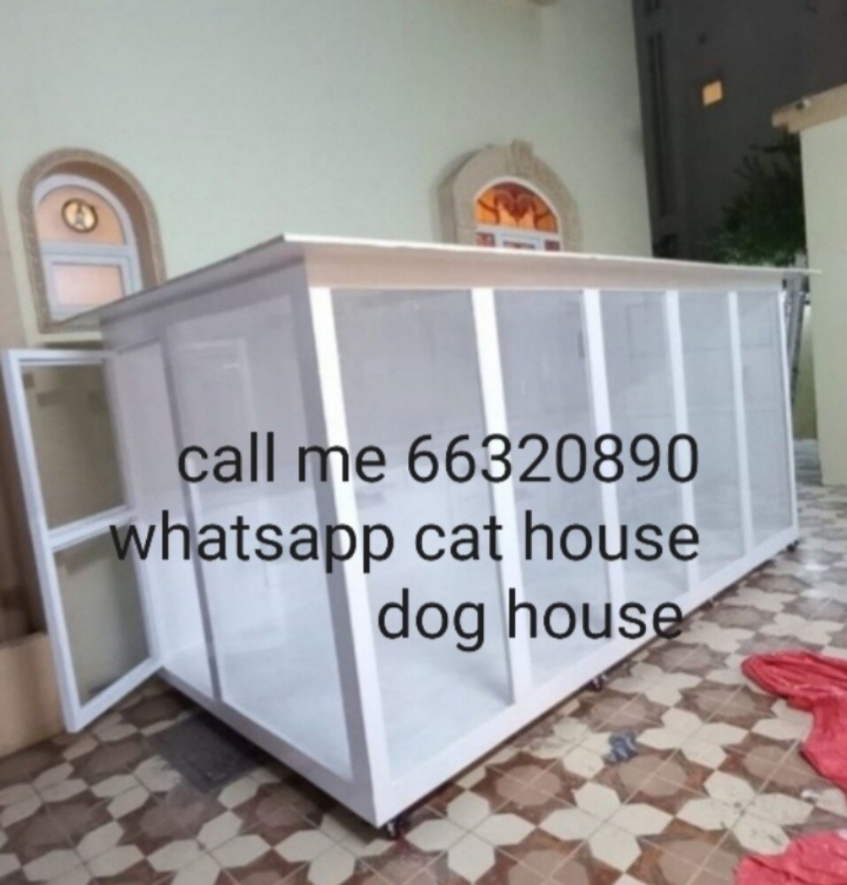 whatsapp - 4