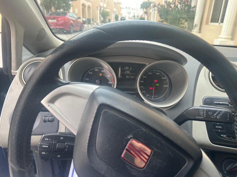 إبيزا سيات - 5
