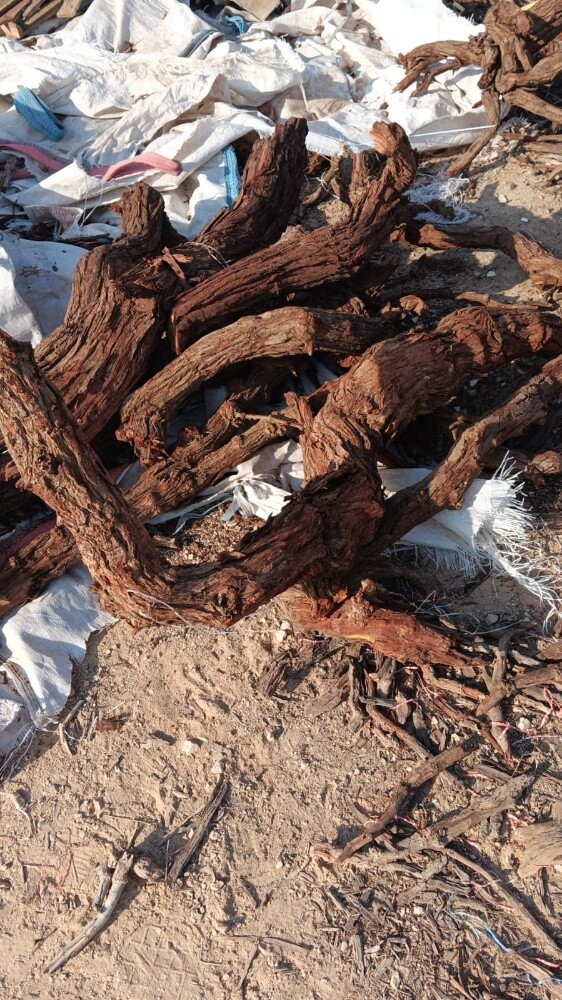 حطب ممتاز جدا - 2