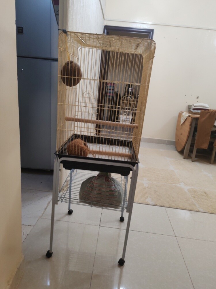 جديد - 2
