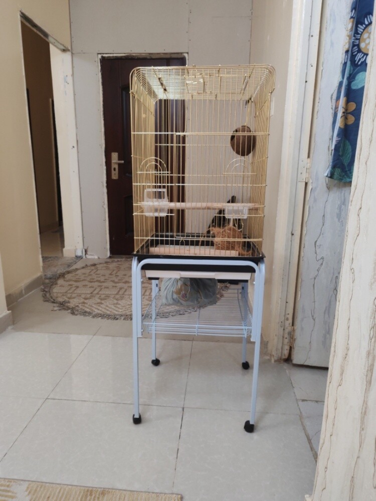 جديد - 1