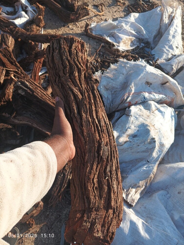 جميع انواع الحطب - 4