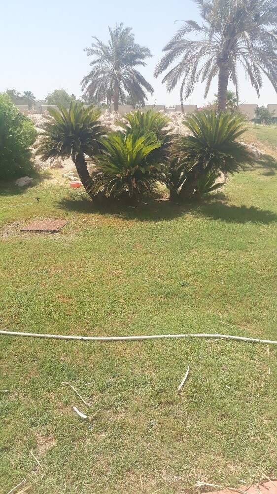 الزراعه - 2