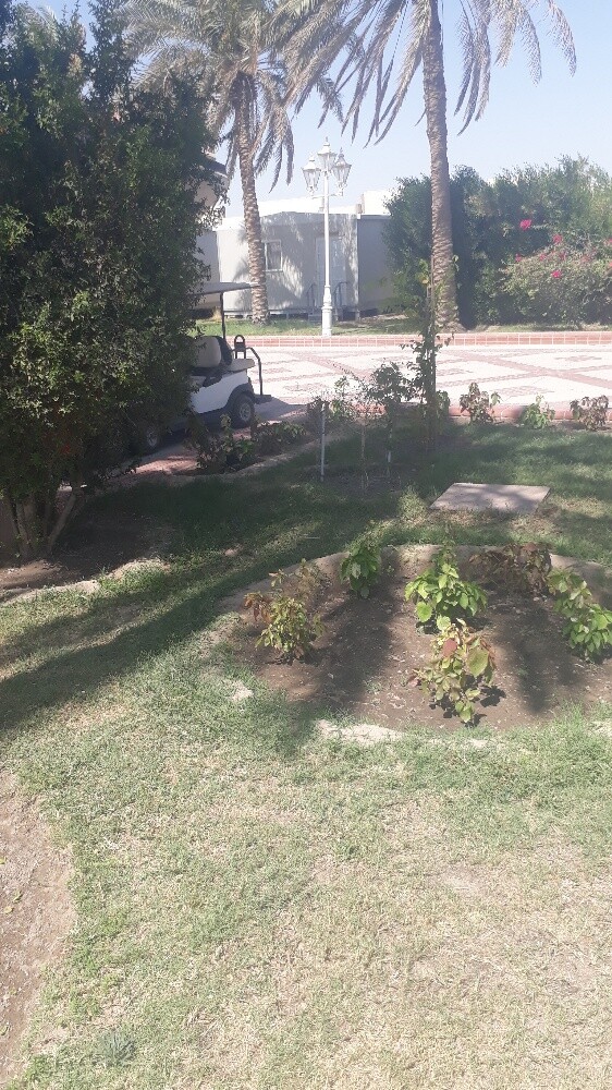 الزراعه - 3
