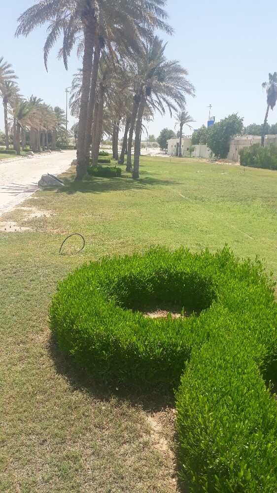 الزراعه - 1