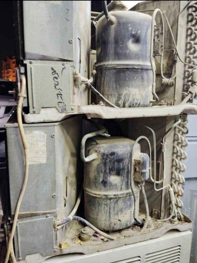 we are buying all type scarab - 2