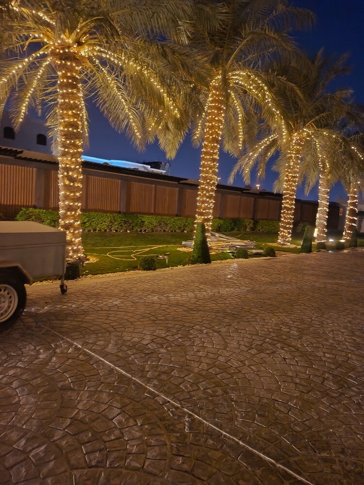 wedding lights - 7